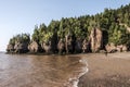 Woman walking at famous Hopewell Rocks geologigal formations low tide biggest tidal wave Fundy Bay New Brunswick Canada