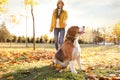 Woman walking her cute Beagle dog in autumn park Royalty Free Stock Photo