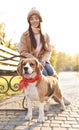 Woman walking her cute Beagle dog in autumn park Royalty Free Stock Photo