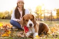 Woman walking her cute Beagle dog in autumn park Royalty Free Stock Photo
