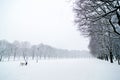 Woman walking with a dog in a cold day during a snow fall in Vigeland park, Oslo