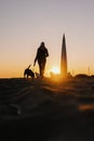 woman walking her dog at sunset, beautiful sunset against the background of modern buildings Royalty Free Stock Photo