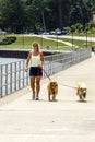 Woman walking her dogs Royalty Free Stock Photo