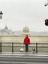 Woman walking her dogs Royalty Free Stock Photo