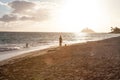 Woman walking her dogs down a tropical beach lit by the sun. Royalty Free Stock Photo