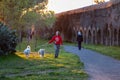 A woman walking her two dogs in the green of the public park