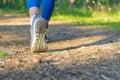 Woman walking,hiking trail in forest.Walking or running legs in forest,summer or autumn nature.Closeup,copy space Royalty Free Stock Photo