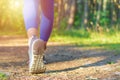 Woman walking,hiking trail in forest.Walking or running legs in forest,summer or autumn nature.Closeup,copy space Royalty Free Stock Photo