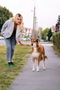 Woman walking with his Shetland sheepdog dog on leash, posing in front of camera. Portrait of lady, owner and Rough collie dog. Royalty Free Stock Photo