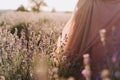 Woman Walking in Lavender Herb Field on Sunny Day Royalty Free Stock Photo