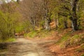 Woman walking in the Ligurian Alps