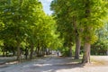 Woman walking in lined trees in the Parc de la PÃÂ©piniÃÂ¨re in nancy france