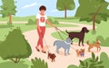 Woman walking with many dogs breeds together in city park, girl puppy owner or volunteer Royalty Free Stock Photo