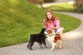 Woman walking Miniature Schnauzer and Cavalier King Charles Spaniel dogs Royalty Free Stock Photo