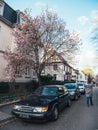 Woman walking near beautiful vintage Saab black cloro sedan car and magnolia