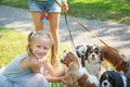 Woman walking a pack of small dogs Cavalier King Charles Spaniel in park. Professional dog walker service.