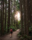 Woman walking on a path through the woods, towards the sun light. Dense forest with high tall trees. Nakasendo trail between