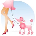 Woman Walking Pink Poodle Royalty Free Stock Photo