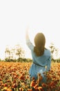 Woman walking in poppy field on sunny summer day. Royalty Free Stock Photo