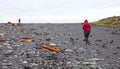 Woman walking between remains of a boat wreck at the black beach on Iceland Snaefellsnes