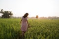 Woman walking on a rice field enjoy her time Royalty Free Stock Photo