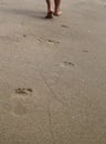 Woman walking on sand beach leaving footprints