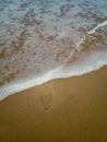 Woman walking on sand beach leaving footprints in the sand. Closeup detail of female feet at Brazil