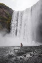 Woman walking Skogafoss Iceland famous waterfall. Powerful stream, dramatic view