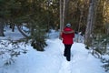 Woman walking on snow in the forest