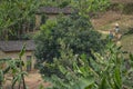 Rural scene in Karongi, Kibuye, Rwanda.