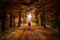 Woman walking on a straight path in a colorful autumn forest