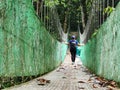 Woman walking on suspension bridge in Tabin jungle in Lahad Datu Royalty Free Stock Photo