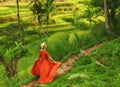 Woman walking on Tegalalang Rice Terrace, Bali Royalty Free Stock Photo