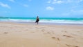 Woman walking on Cupe beach at Ipojuca PE, Brazil