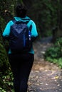 Woman on walking trail and getting into the woods. Solo traveler concept Royalty Free Stock Photo