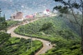 Woman walking by the trail at the single tree hill in Nuwara Eliya Royalty Free Stock Photo