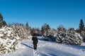 Woman walking in a winterland