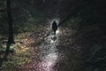 A woman walks alone in a dark forest