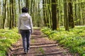 A woman walks along a path in a blooming spring forest Royalty Free Stock Photo