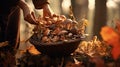 A woman walks through the autumn forest with mushrooms in a wicker basket. Picking mushrooms in the forest in autumn Royalty Free Stock Photo