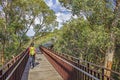 A woman walks on canopy walkway of Lotterywest Federation Walkway at King`s Park and Botanical Garden in Perth, Australia. Royalty Free Stock Photo