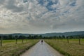 Woman Walks Down Hyatt Lane