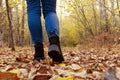 woman walks in the fall on dry fallen leaves in the park. Abstract empty blank of the autumn weathe Royalty Free Stock Photo