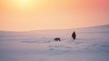 Lonely Elder: A Man And Dog Walking Across Snow At Sunset Royalty Free Stock Photo