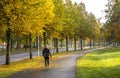 Woman walks in the park in autumn