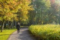 Woman walks in the park in autumn