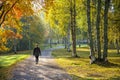 Woman walks in the park in autumn