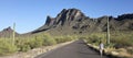 A Woman Walks a Road in Picacho Peak State Park, Arizona