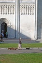 A woman walks three dogs by Dmitrievsky cathedral in Vladimir, Russia.