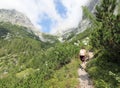 Woman walks in a trail while hiking in the mountains between the Alps and the mountain pines Royalty Free Stock Photo